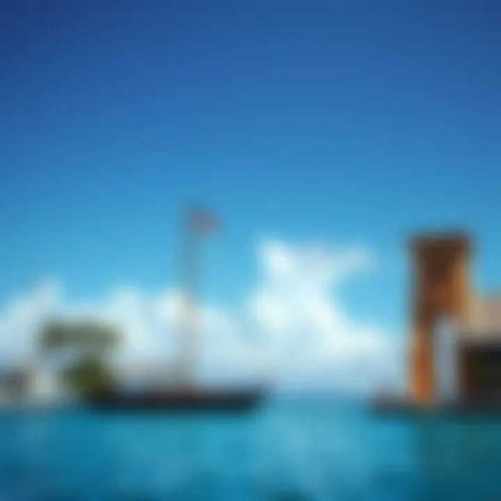 Magnificent Caribbean Tax Havens: An In-Depth Examination