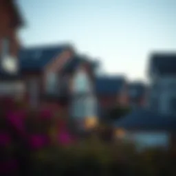 A diverse portfolio of real estate properties