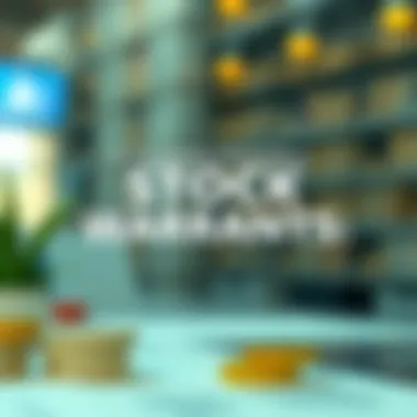 Conceptual illustration of stock warrants and investments