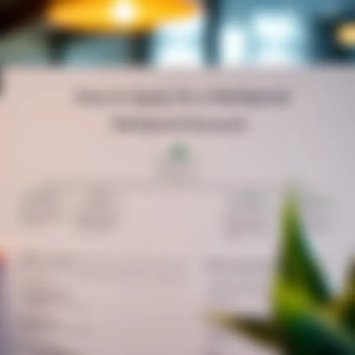 How to Apply for a NetSpend Account A flowchart illustrating the NetSpend application process