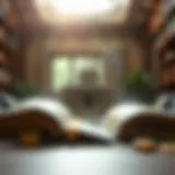 Optimal Placement Strategies for Inheritance Capital Introduction