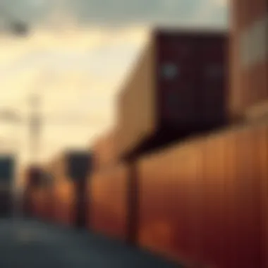 Future projections for shipping container investment