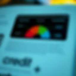 Visual representation of credit score components