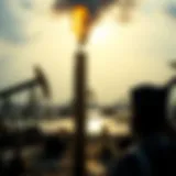 Understanding the Determinants of Oil Prices Introduction