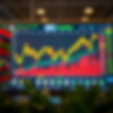 Historical Stock Performance Visual representation of historical stock performance of top companies
