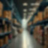 Understanding the Role of Wholesalers in the Supply Chain Introduction